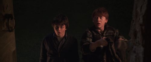 CS-Potterish_06708.jpg