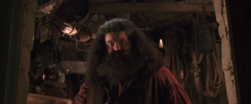 CS-Potterish_06714.jpg