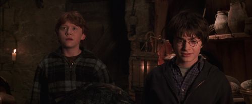 CS-Potterish_06721.jpg