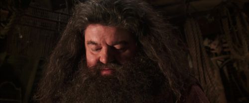 CS-Potterish_06725.jpg