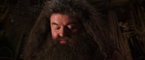 CS-Potterish_06726.jpg