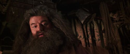 CS-Potterish_06730.jpg