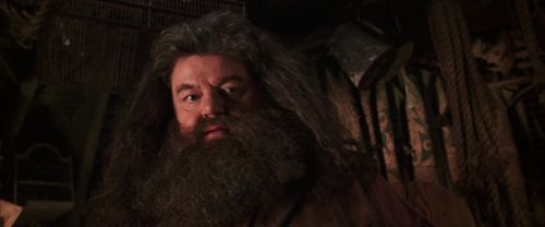 CS-Potterish_06731.jpg