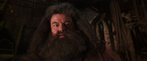 Click to view full size image
==============
CS-Potterish_06732.jpg CS-Potterish_06732.jpg