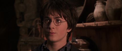 CS-Potterish_06736.jpg