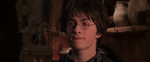 CS-Potterish_06738.jpg