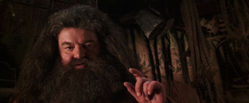 Click to view full size image
==============
CS-Potterish_06748.jpg CS-Potterish_06748.jpg