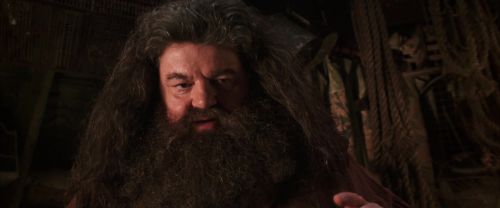 CS-Potterish_06749.jpg