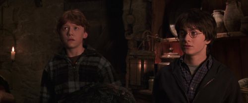 Click to view full size image
==============
CS-Potterish_06750.jpg CS-Potterish_06750.jpg