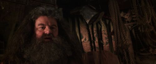 CS-Potterish_06752.jpg
