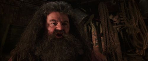 CS-Potterish_06753.jpg