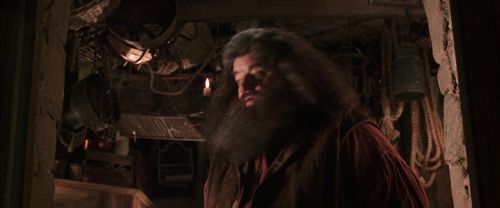 CS-Potterish_06772.jpg