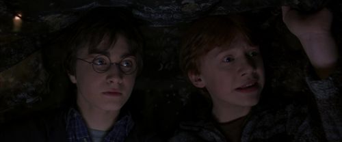 CS-Potterish_06775.jpg