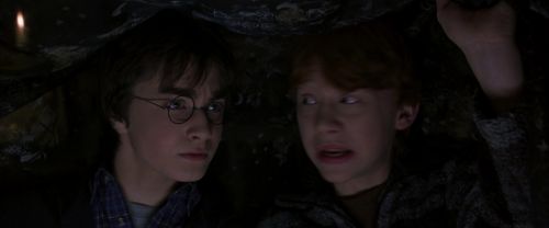 CS-Potterish_06777.jpg