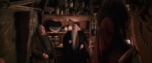 CS-Potterish_06796.jpg
