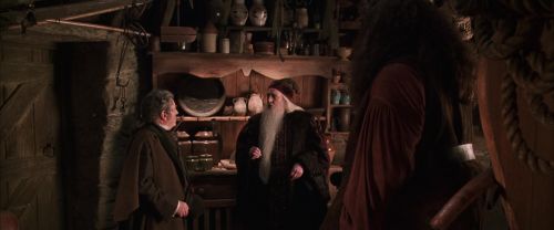 CS-Potterish_06799.jpg
