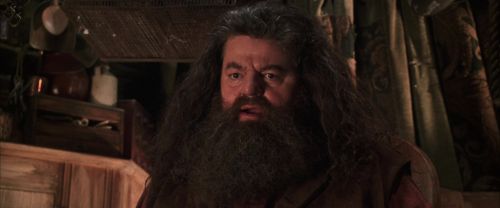 CS-Potterish_06813.jpg