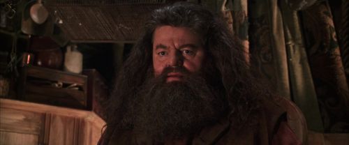 CS-Potterish_06815.jpg