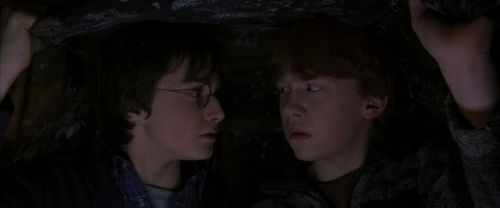 Click to view full size image
==============
CS-Potterish_06816.jpg CS-Potterish_06816.jpg