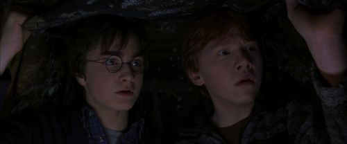 CS-Potterish_06818.jpg