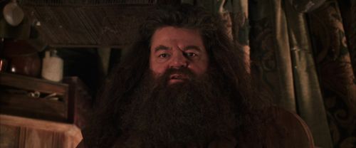 CS-Potterish_06827.jpg