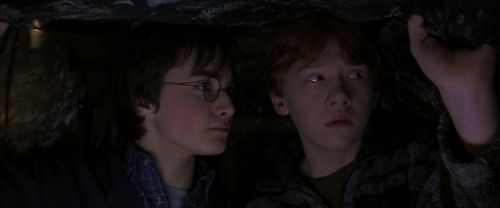 CS-Potterish_06830.jpg
