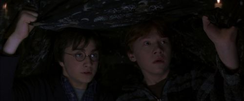 CS-Potterish_06835.jpg