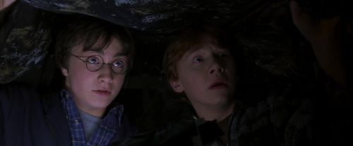 Click to view full size image
==============
CS-Potterish_06836.jpg CS-Potterish_06836.jpg
