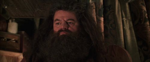 CS-Potterish_06858.jpg