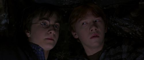 Click to view full size image
==============
CS-Potterish_06896.jpg CS-Potterish_06896.jpg