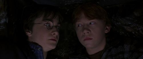 CS-Potterish_06897.jpg