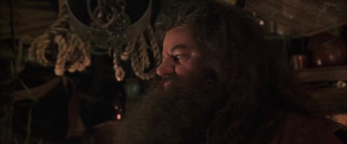 CS-Potterish_06900.jpg