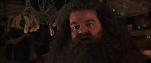 CS-Potterish_06901.jpg