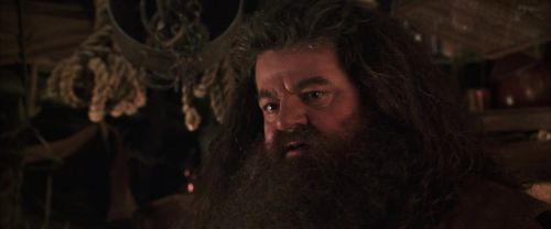 CS-Potterish_06904.jpg