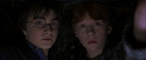 Click to view full size image
==============
CS-Potterish_06935.jpg CS-Potterish_06935.jpg