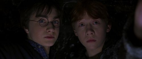 CS-Potterish_06936.jpg