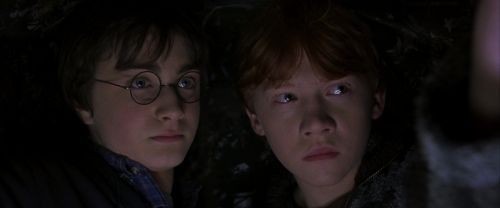 Click to view full size image
==============
CS-Potterish_06951.jpg CS-Potterish_06951.jpg