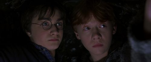 Click to view full size image
==============
CS-Potterish_06952.jpg CS-Potterish_06952.jpg