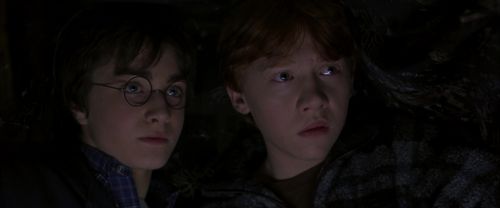 CS-Potterish_06968.jpg