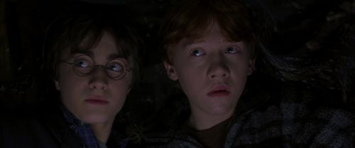 CS-Potterish_06969.jpg