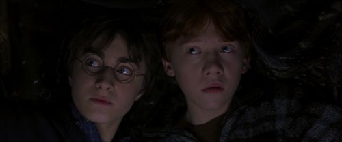 CS-Potterish_06970.jpg