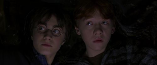 CS-Potterish_06971.jpg