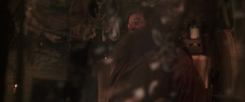 CS-Potterish_06972.jpg