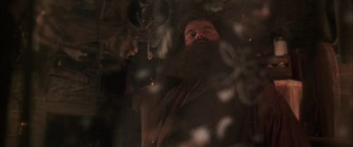 CS-Potterish_06973.jpg