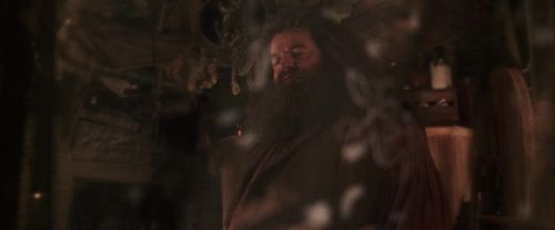 CS-Potterish_06976.jpg