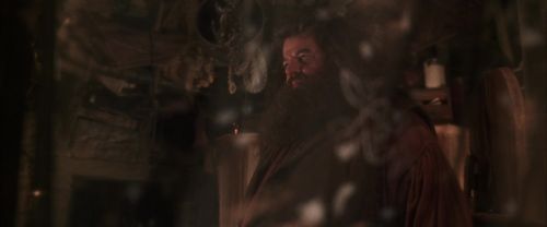 CS-Potterish_06977.jpg