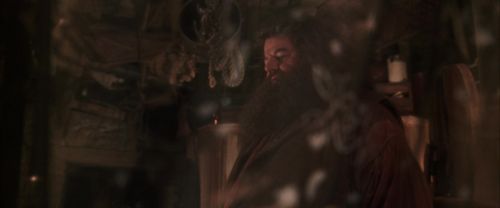 CS-Potterish_06980.jpg