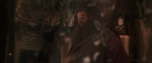 CS-Potterish_06982.jpg