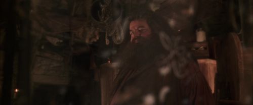 CS-Potterish_06983.jpg
