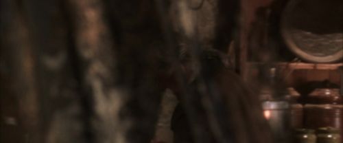 CS-Potterish_06997.jpg